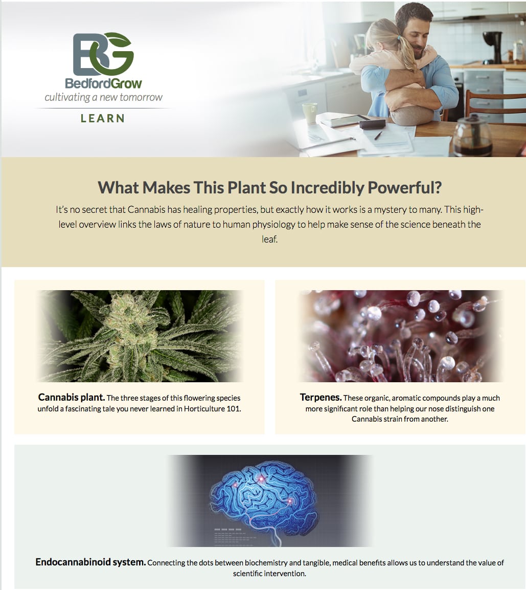 Cannabis digital content