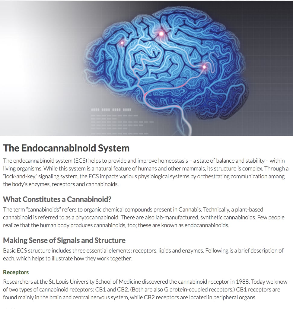 Technical writing for Cannabis industry